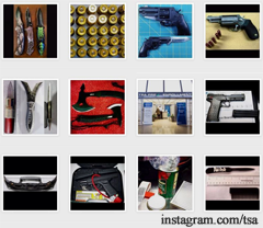 TSA Instagram @ instagram.com/tsa