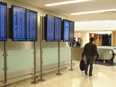 Man at the Airport