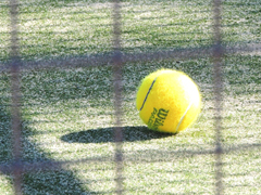 Tennis ball cut along seam to smuggle contraband