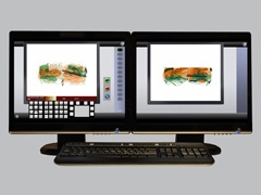 Dual View, Dual Monitor X-ray Simulator Training